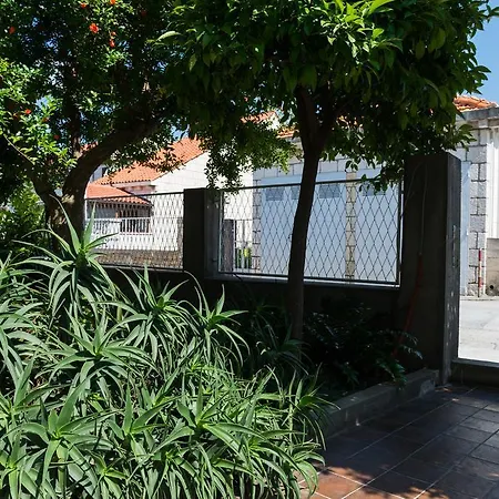 Veve Dubrovnik